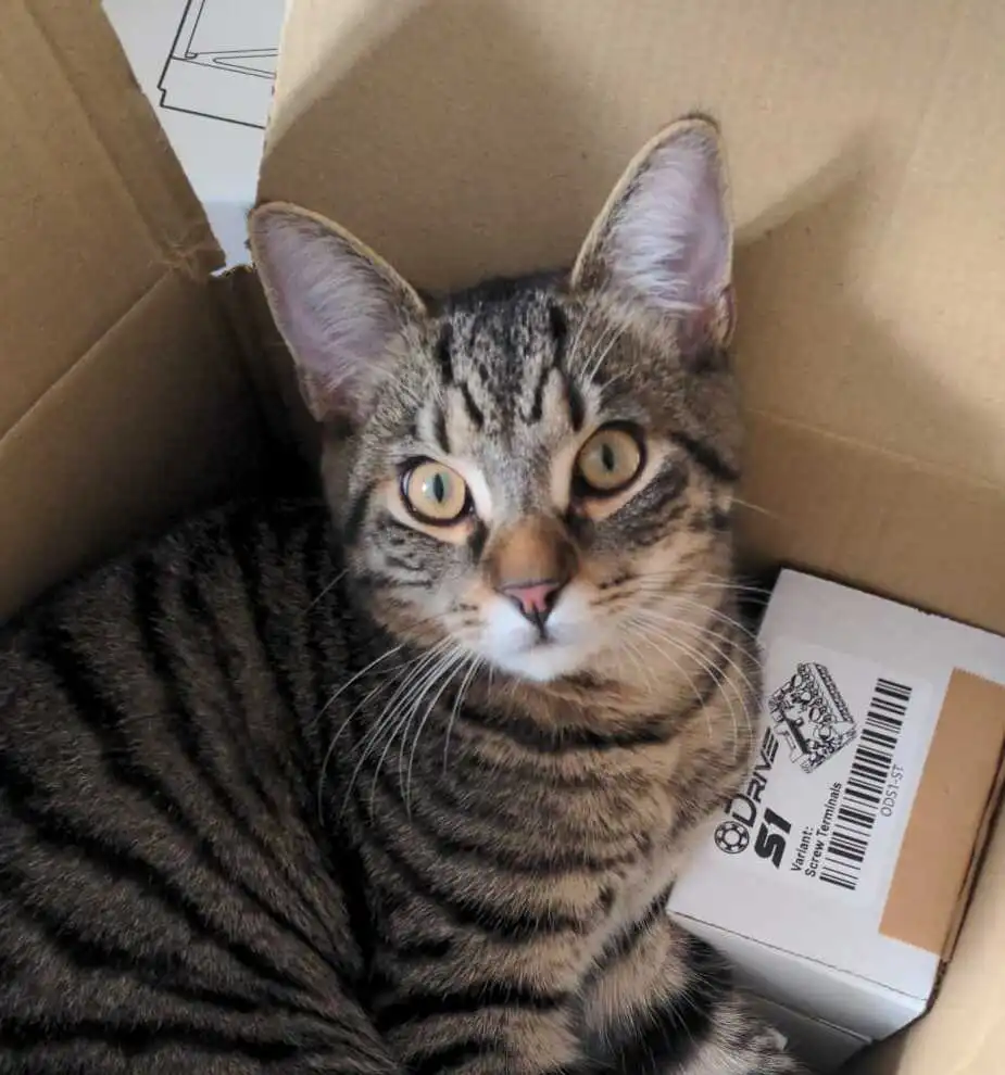 Milo